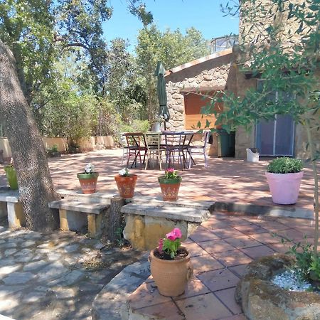 Casa Rural Vinas Perdidas Bejar Bagian luar foto