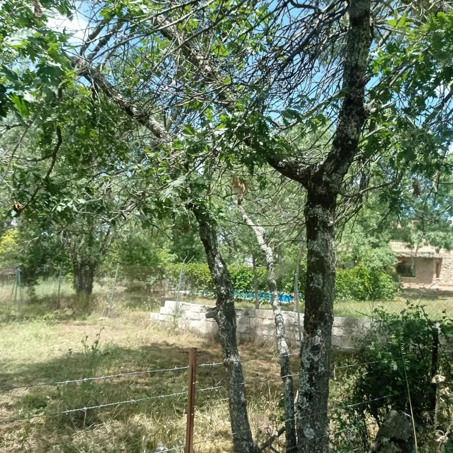 Casa Rural Vinas Perdidas Bejar Bagian luar foto