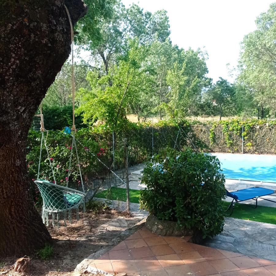 Casa Rural Vinas Perdidas Bejar Bagian luar foto