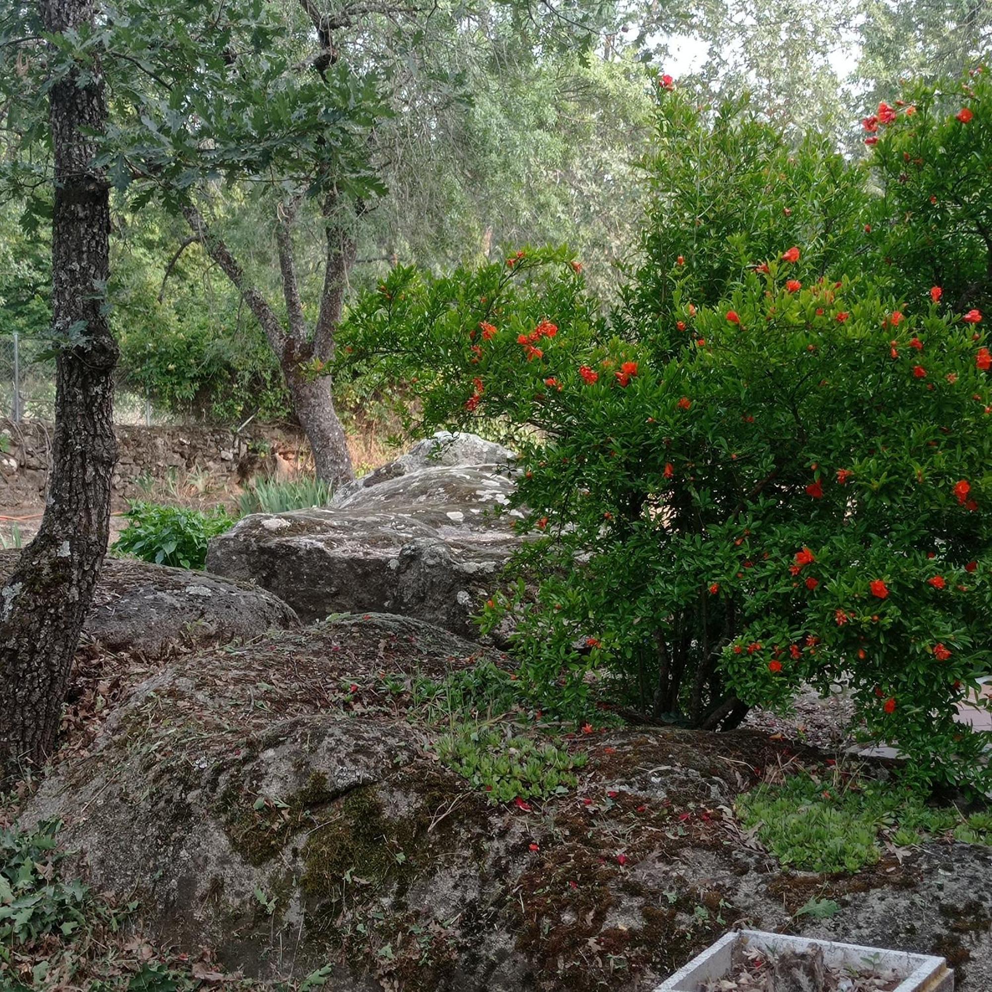Casa Rural Vinas Perdidas Bejar Bagian luar foto